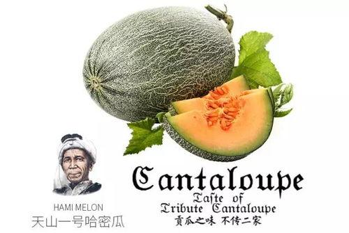 娱乐吃瓜营销号推荐,明星们的幕后故事，吃瓜群众必看！